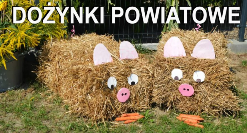 Dożynki Powiatowe 2024 Powiatu Wieluńskiego - gdzie, kiedy i kto będzie gwiazdą