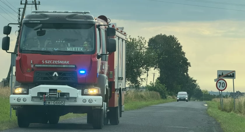 Ptak wypadł z gniazda. Pomogli strażacy