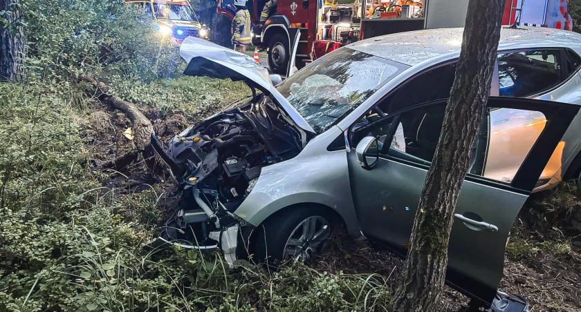 Renault zjechało z drogi - 19-latka uderzyła w przydrożne drzewo