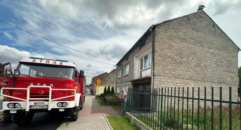 Bocian potrzebował pomocy - interweniowali strażacy