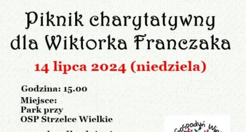 Piknik charytatywny z wieloma atrakcjami - pieniądze zostaną przeznaczone na leczenie Wiktorka Franczaka