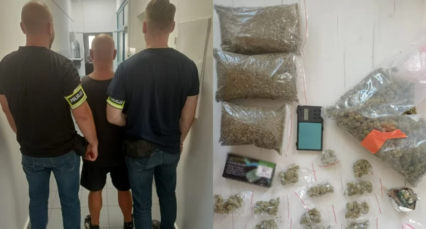 Policjanci rozbili narkotykowy biznes - zabezpieczyli ponad kilogram narkotyków! 