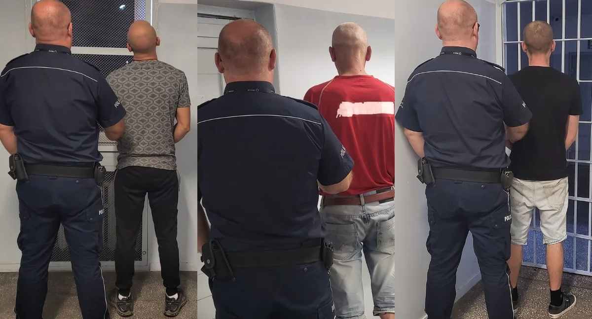 Trzech braci włamało się na posesję - spłoszyła ich sąsiadka