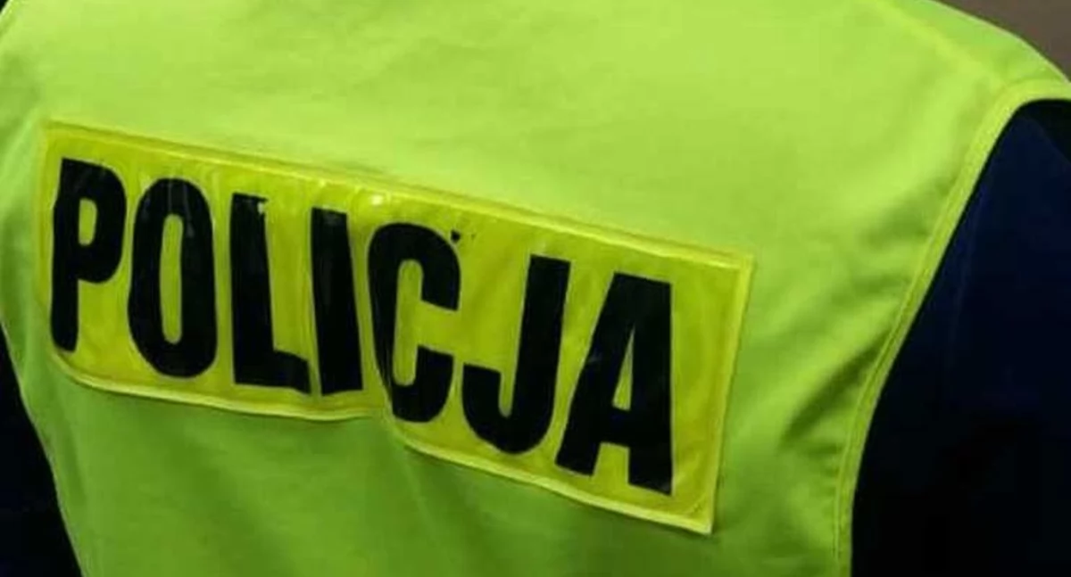 Pobił i okradł mężczyznę w parku - 24-latek był już wcześniej notowany