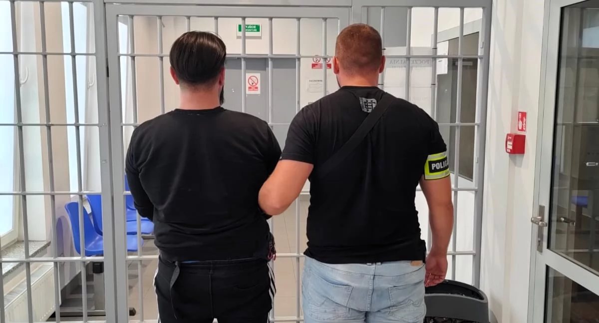 Zatrzymanie młodego gangstera. Był poszukiwany dwoma listami gończymi