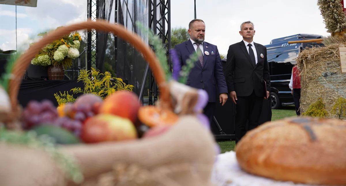 Powiatowe Dożynki 2024 w Ostrówku: relacja i 183 najlepsze ZDJĘCIA Z IMPREZY