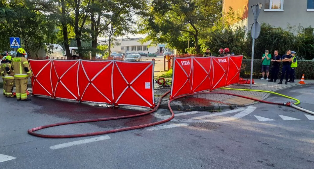 73-latek spłonął żywcem w elektrycznym samochodzie