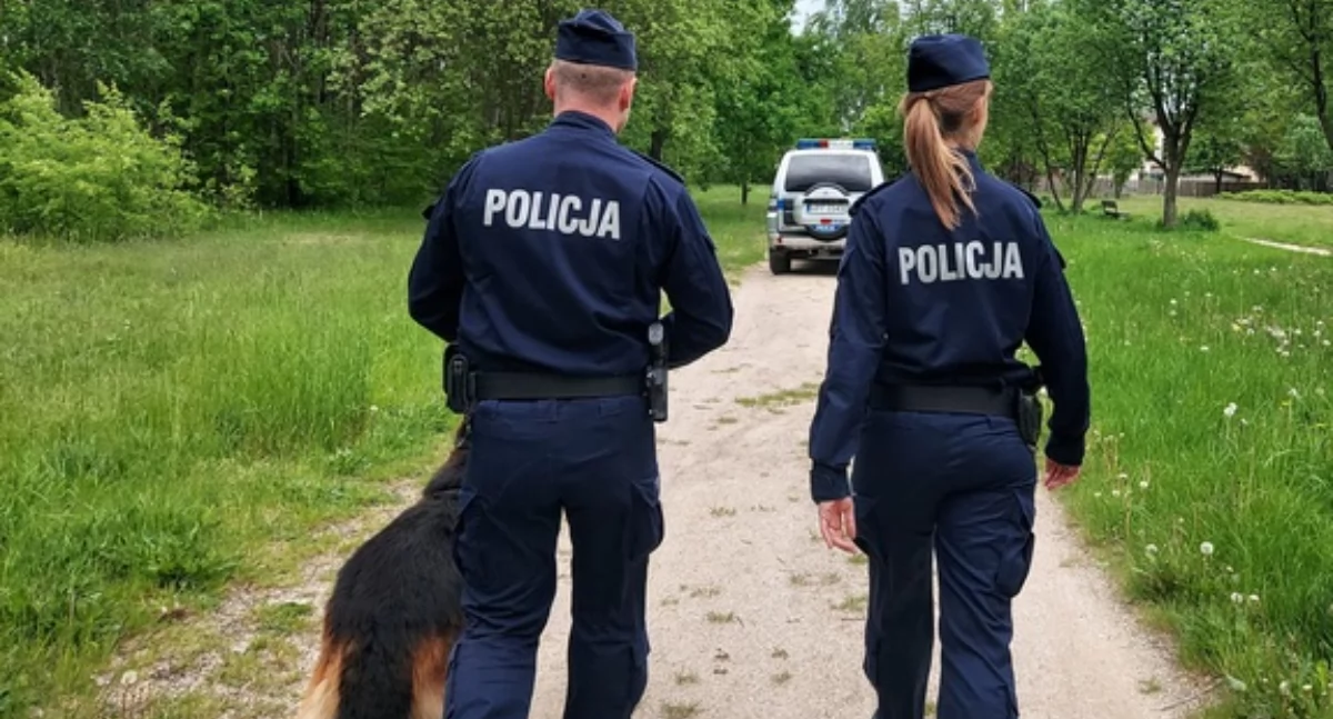 Psy atakowały pieszych na ulicy - ich właścicielka poszła w tym czasie po alkohol