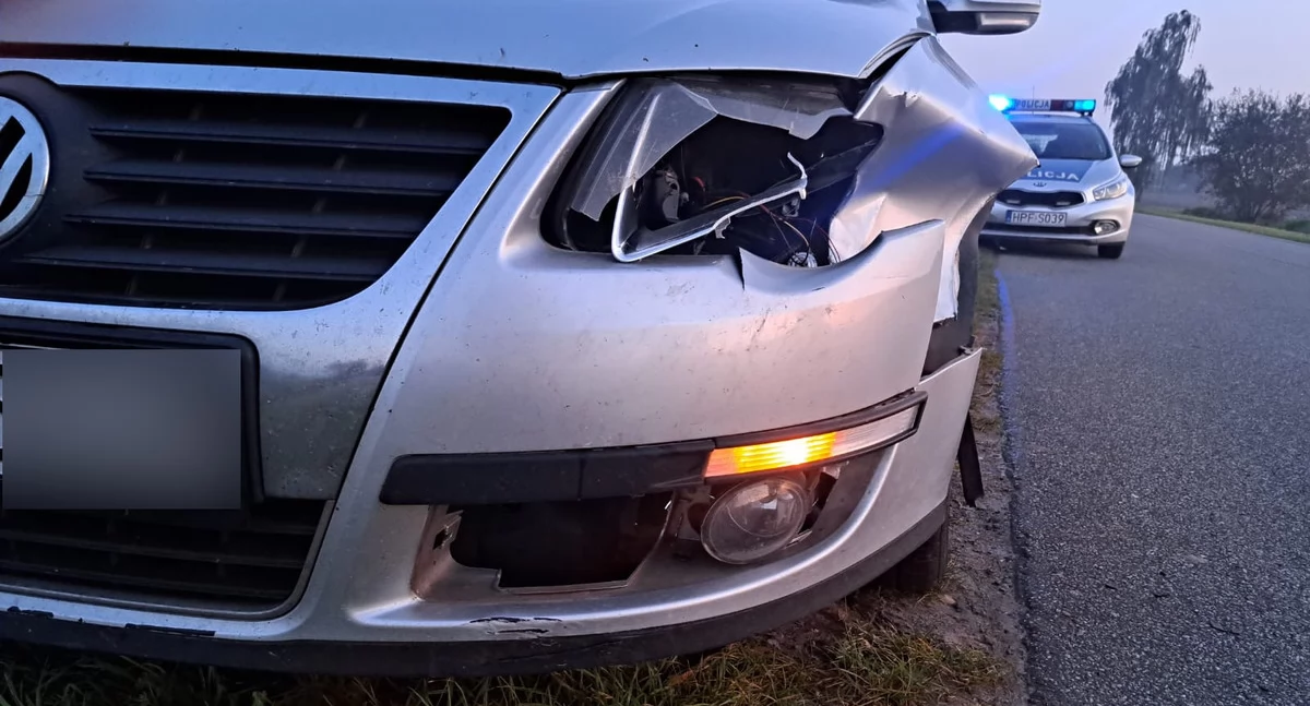 Trzy kolizje z udziałem zwierząt - policjanci z Wieruszowa apelują do kierowców!