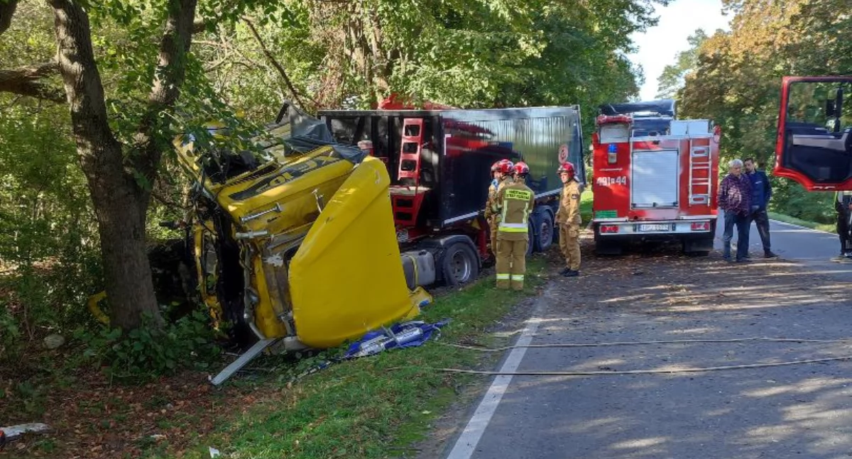 Ciężarówka zjechała z drogi i uderzyła w drzewo - kierowca trafił helikopterem do szpitala