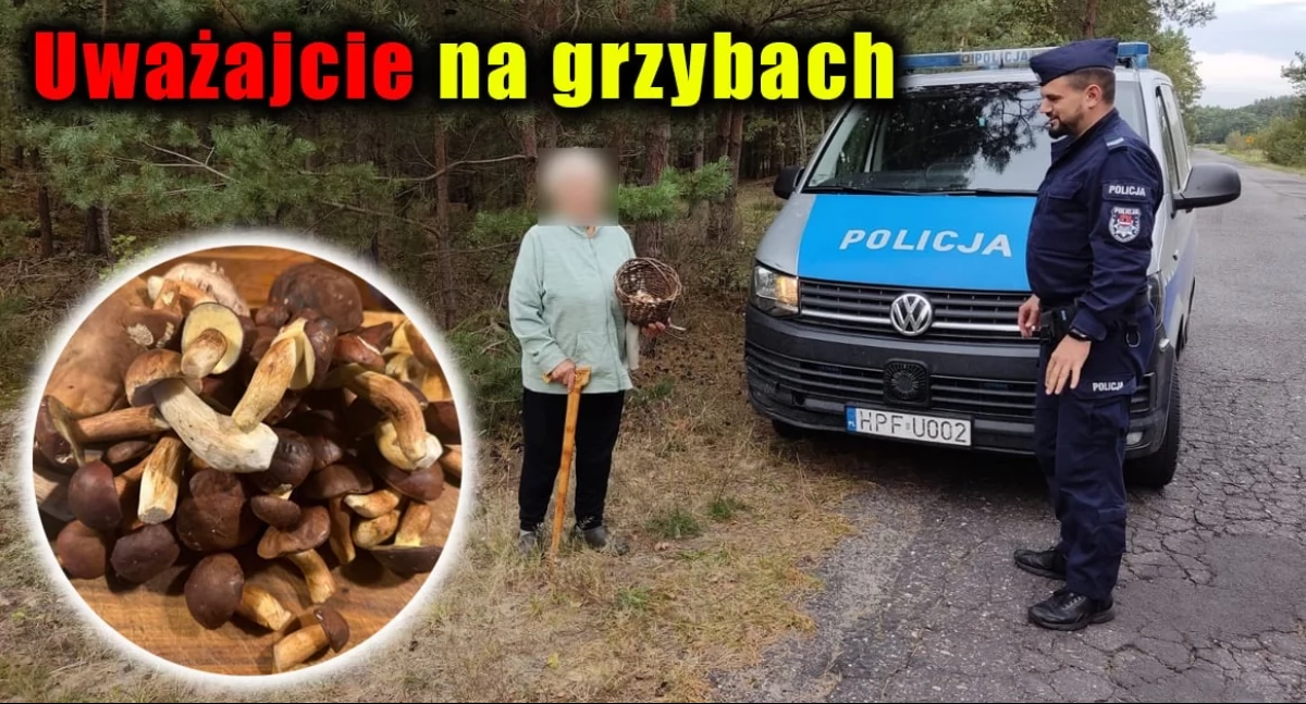 Bezpieczeństwo na grzybobraniu – kluczowe rady od Wieruszowskiej policji