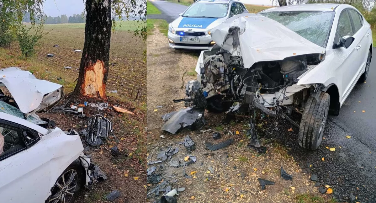 Pijany kierowca wjechał w drzewo – grozi mu do 3 lat więzienia!