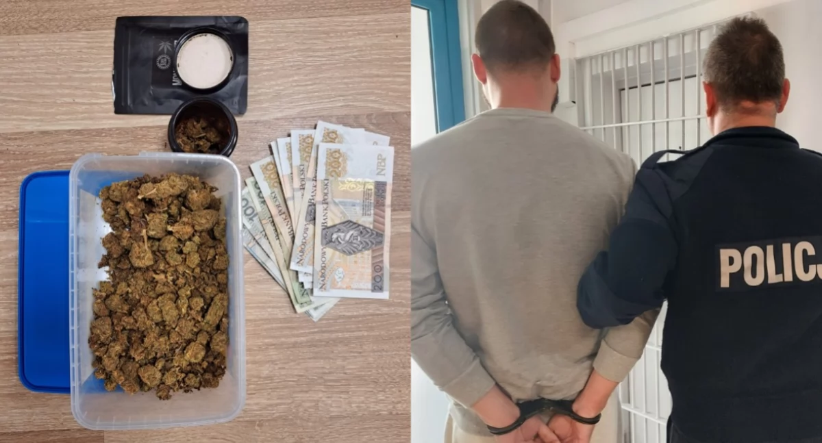 Policja walczy z narkotykową przestępczością - zatrzymano 29-latka za marihuanę
