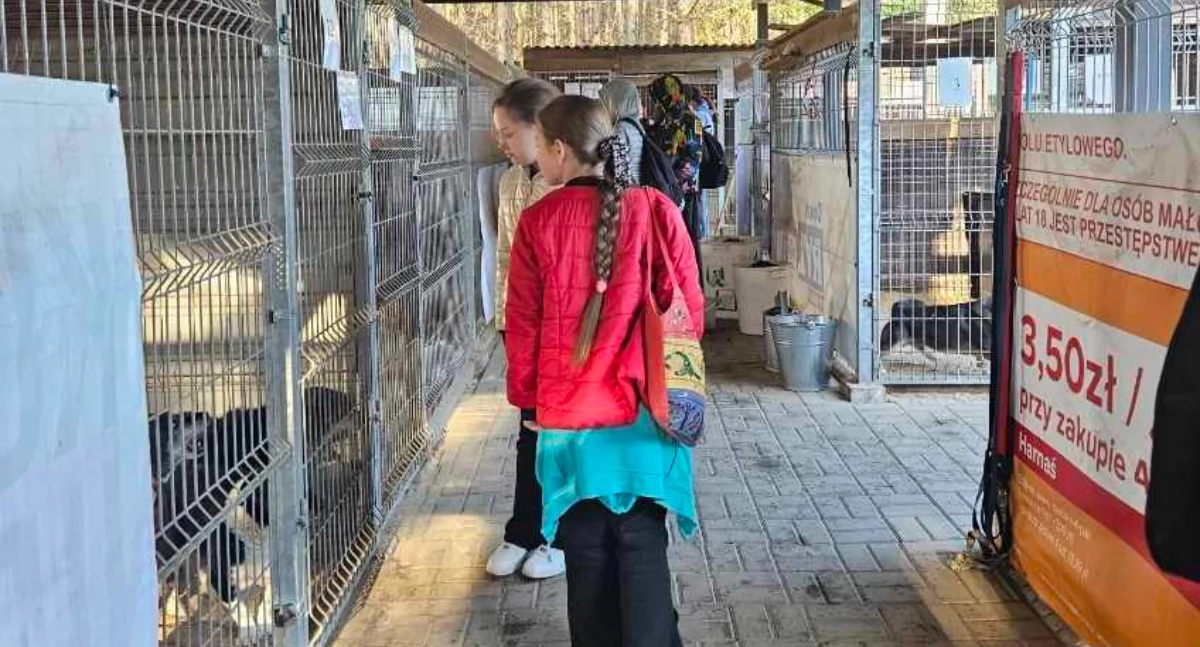 Uczniowie odwiedzili schroniska dla zwierząt - przekazali karmę i zabrali czworonogi na spacer
