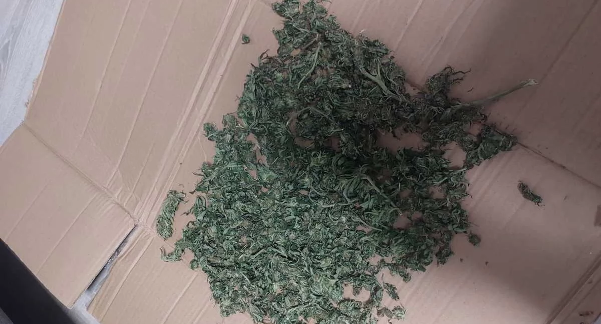 Miał przy sobie blisko ćwierć kilograma marihuany - zatrzymała go dzielnicowa