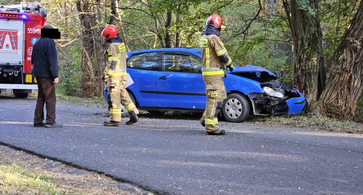 Wypadek w Krzeczowie. 25-letni kierowca trafił do szpitala 