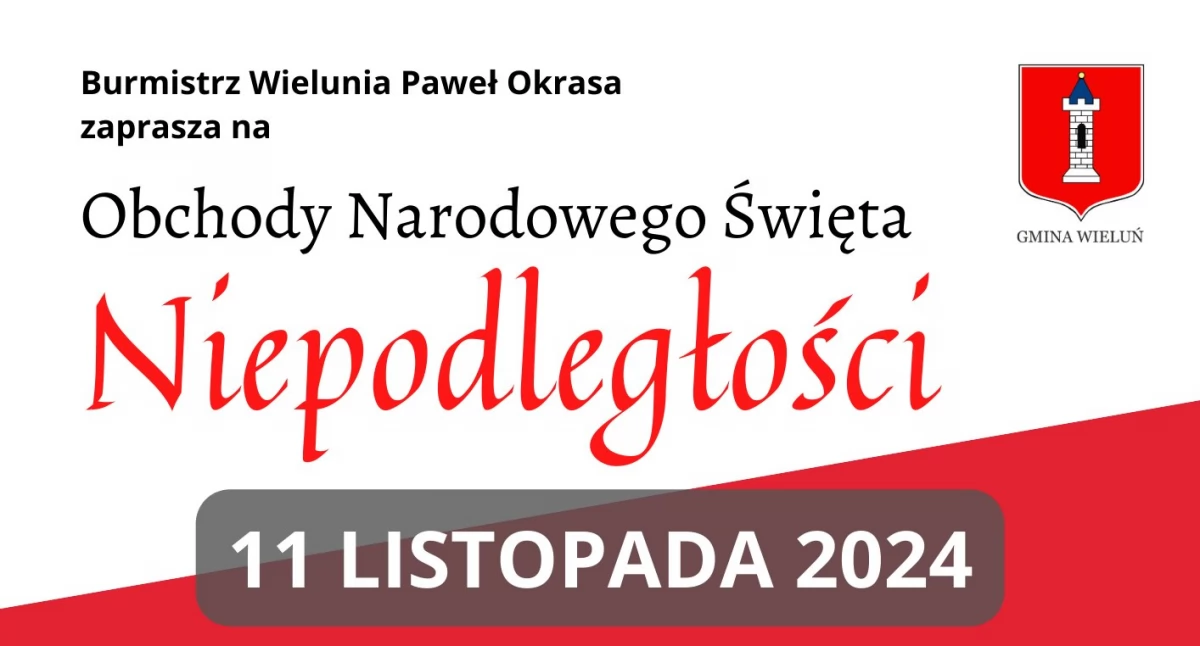 Obchody Święta Niepodległości - odsłonięcie tablicy, patriotyczne ognisko i koncert 