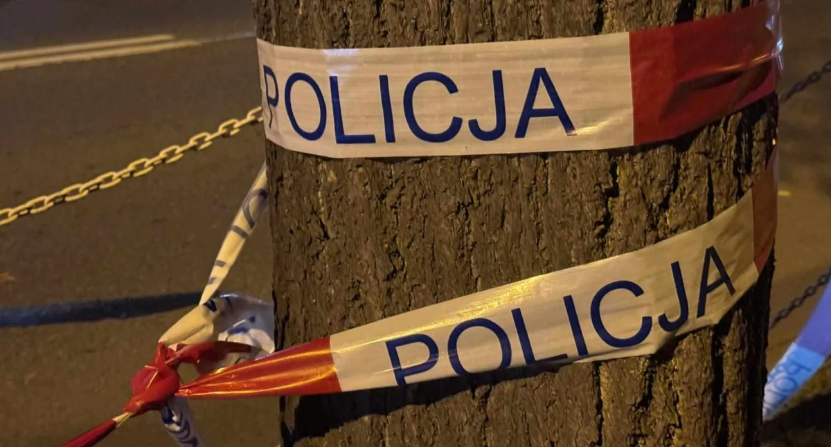 39 i 55-latek nie żyją: ciała znalezione na posesji