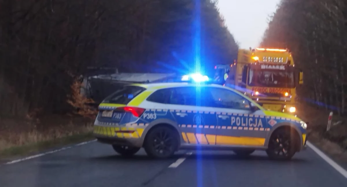 Kolizja w Kleśniskach: zwierzęta leśne przyczyną wypadków drogowych