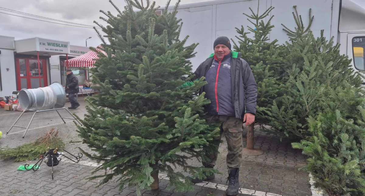 Świąteczny gwar na wieluńskim targowisku