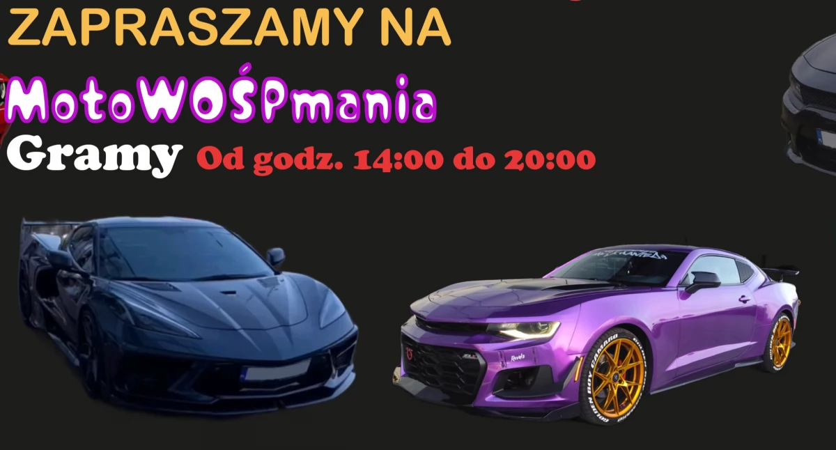 Motoryzacyjna Fiesta w Wieluniu: MotoWOŚPmania 2025