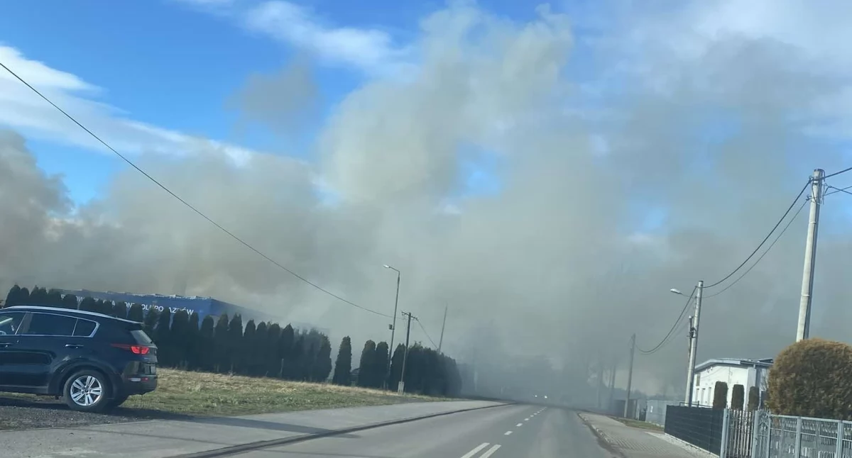Płonie auto-komis w Praszce: trwa akcja gaszenia pożaru