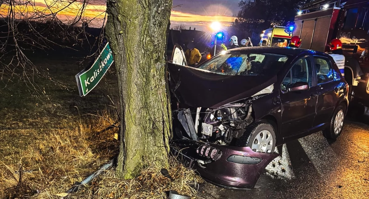 Wjechała do rowu i uderzyła w drzewo: policjanci ukarali ją mandatem