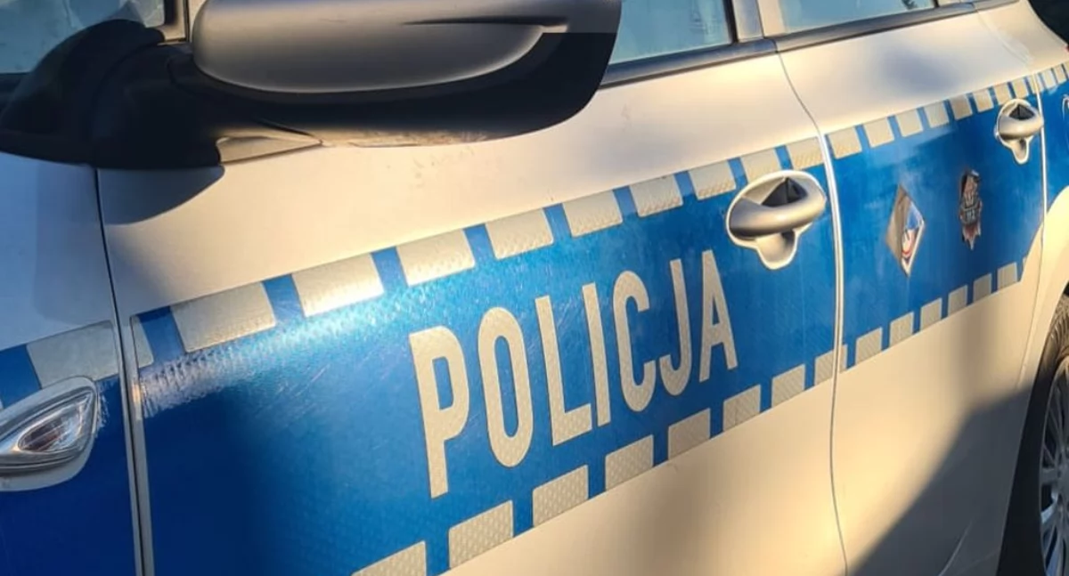Uderzył w auto, staranował znak i uciekał - 65-latek był pod wpływem alkoholu 