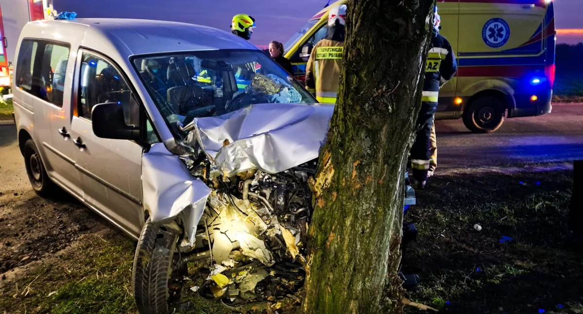 Wypadek drogowy w Sulmowie: Samochód wypadł z drogi i uderzył w drzewo