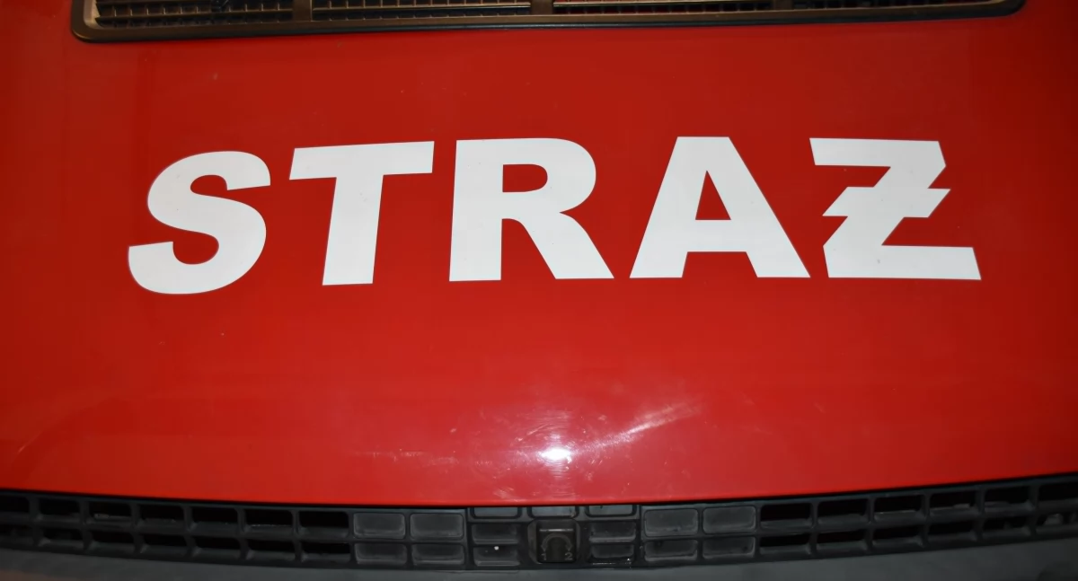Pożar traw w Nowej Brzeźnicy