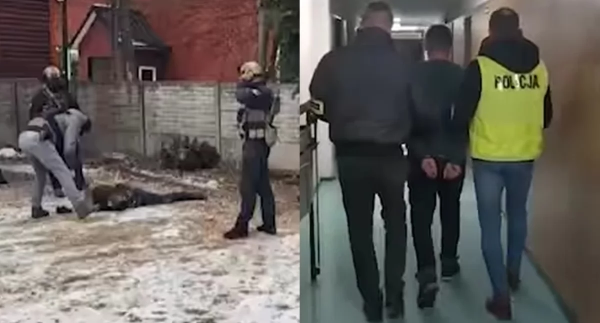 Wywieźli 35-latka do lasu, pobili go i okradli - napastnicy zostali już aresztowani