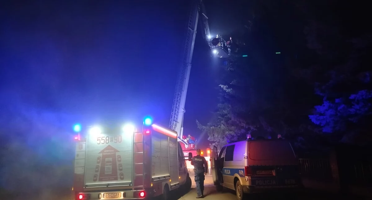 Wieluńscy strażacy ratują kolejnego kota