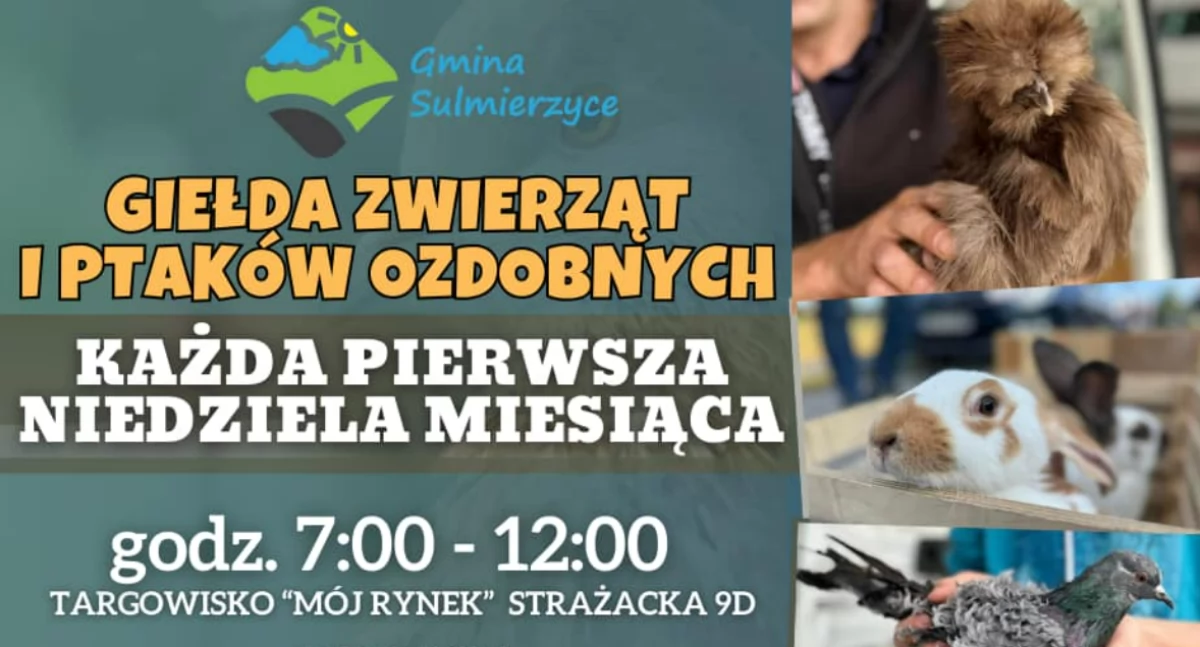 Giełda Zwierząt i Ptaków Ozdobnych w Sulmierzycach już w najbliższą niedzielę