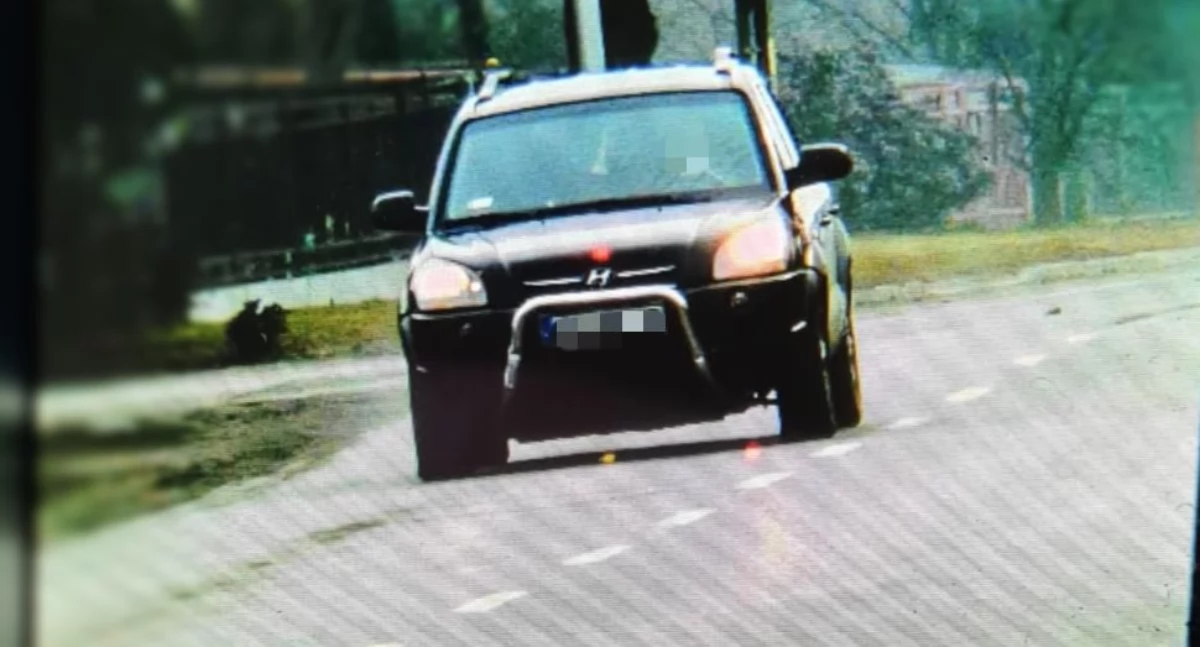 19-latek stracił prawo jazdy - jechał za szybko w obszarze zabudowanym