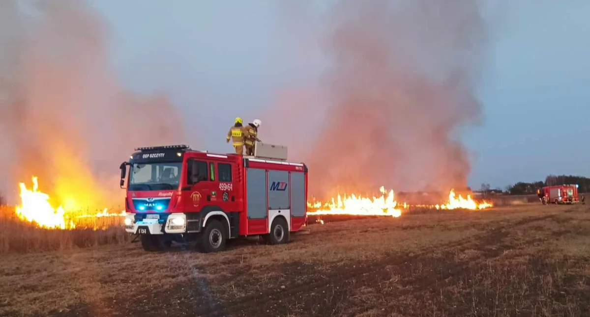 Pożar w Działoszynie, pożar w Radoszewicach, pożar w Niwiskach Górnych... Pół hektara nieużytków i rów w ogniu