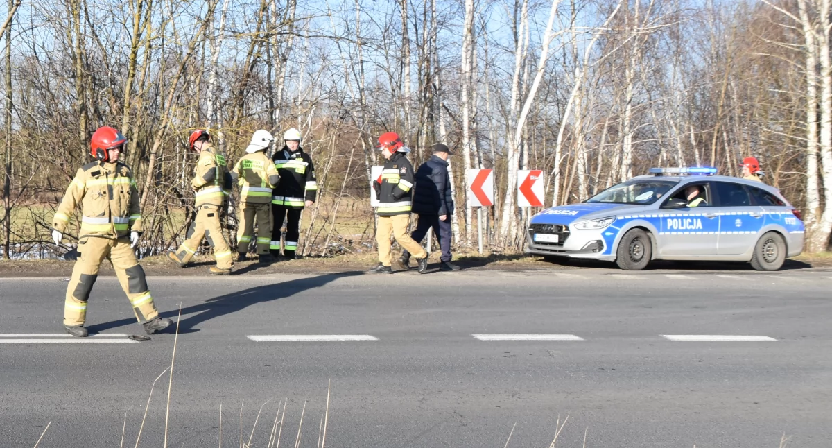 Kolizja dwóch ciężarówek w Brzozowcu 
