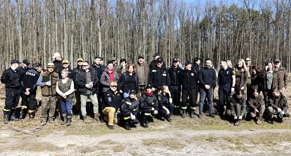 Strażacy i leśnicy wspólnie posadzili 12 tysięcy sosen w ramach kampanii 