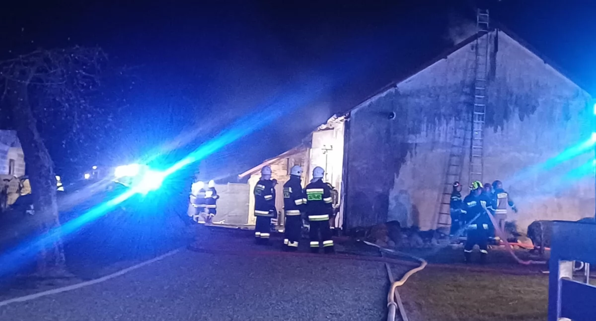 Pożar warsztatu samochodowego w Brzozie