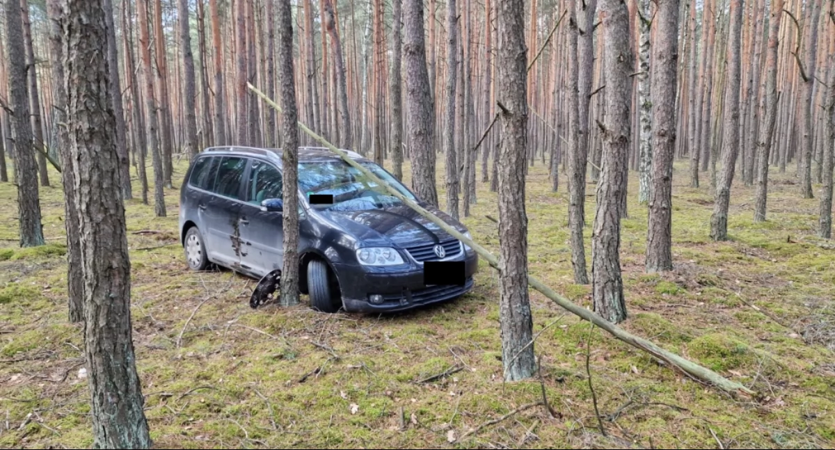 Pijany 45-latek uciekał autem przed policją - zatrzymały go... drzewa 