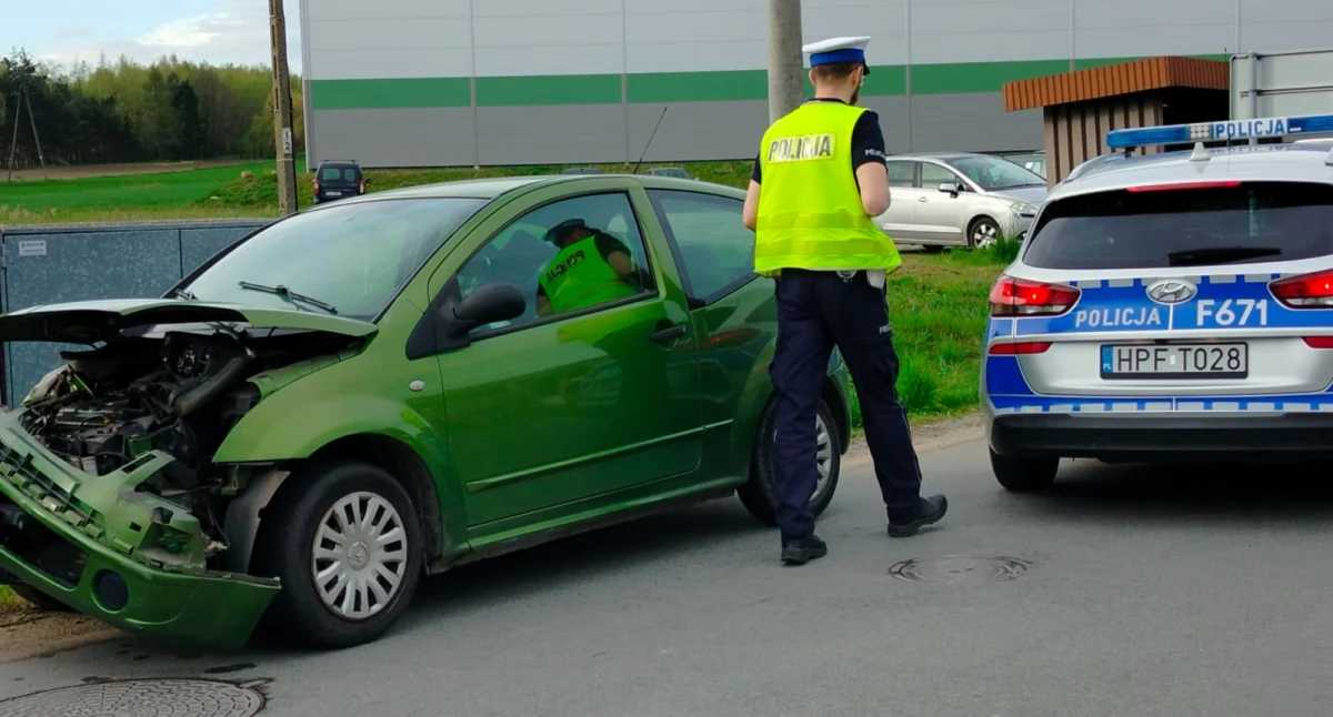 Pies na drodze przyczyną kolizji w Nowym Świecie