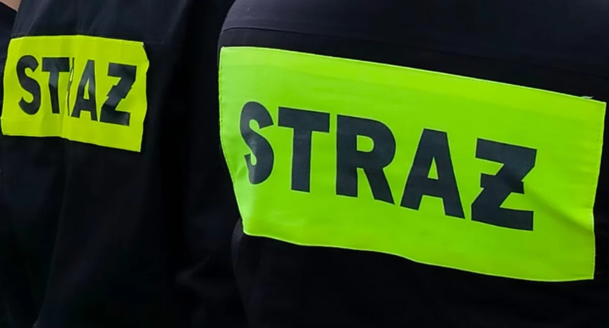 Do pożaru samochodu jednak nie doszło