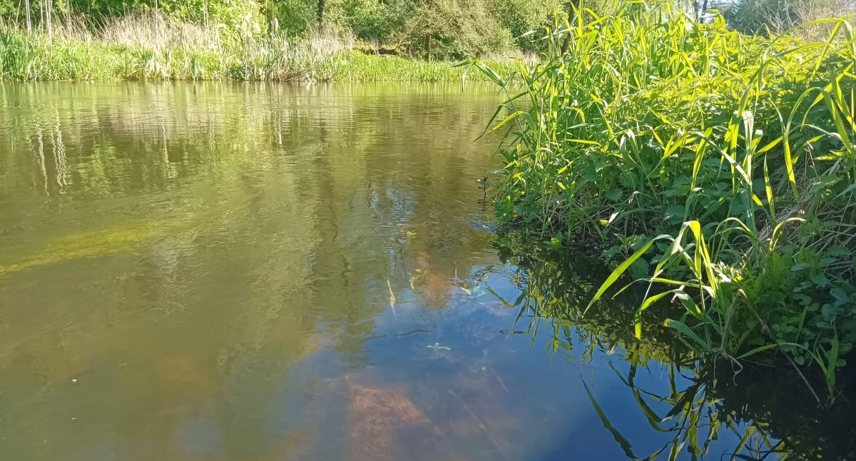 Zwłoki znalezione w rzece. Nieszczęśliwy wypadek czy morderstwo? 
