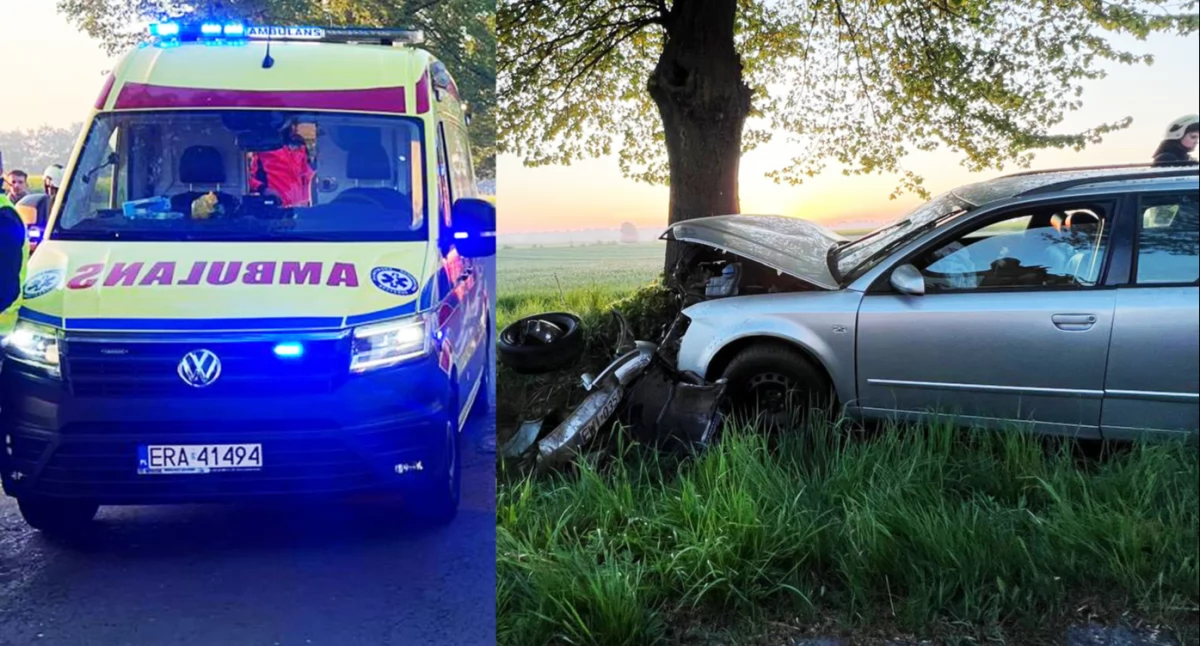 Wypadek w Nowej Brzeźnicy. Samochód uderzył w drzewo, kierowca w szpitalu