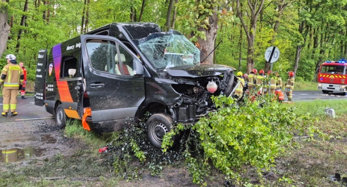 Bus zjechał z drogi i uderzył w drzewo - sześć osób w szpitalu 