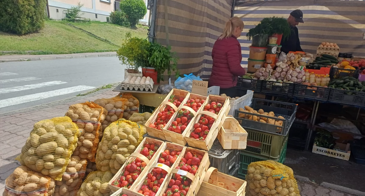 Ceny truskawek w Wieluniu, Pajęcznie, Działoszynie 