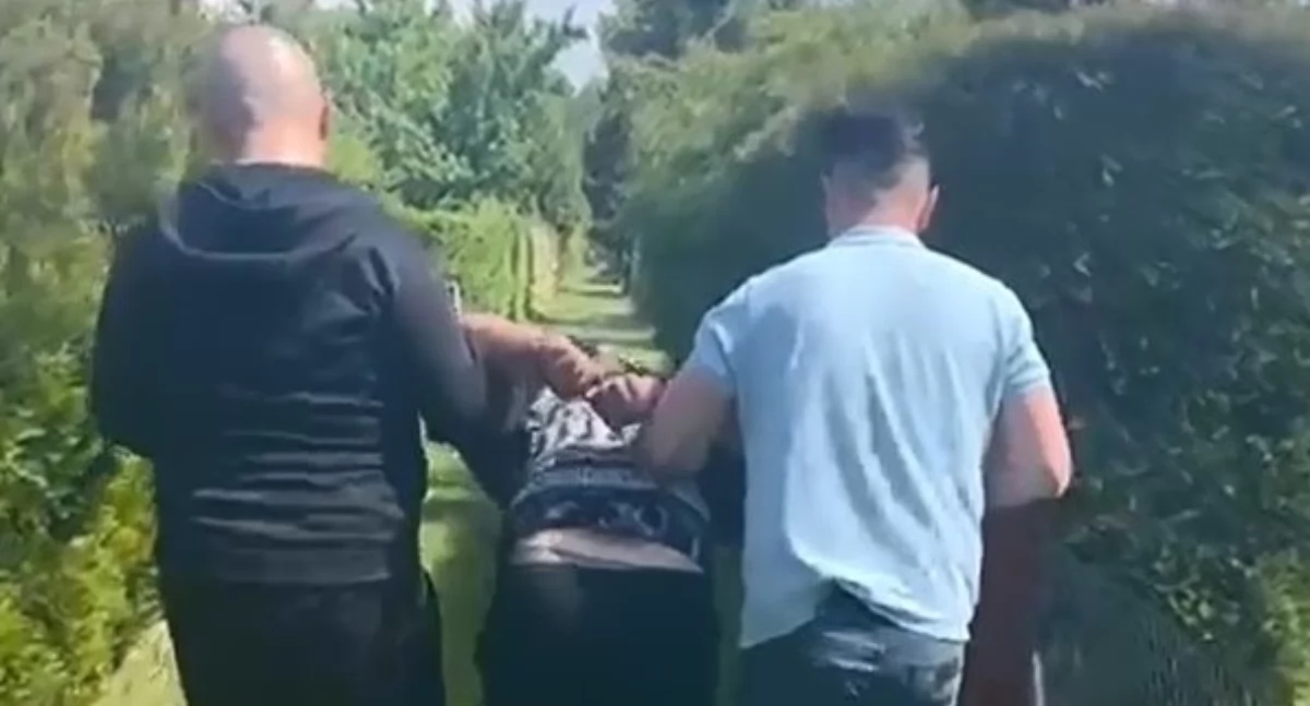 Wielka policyjna OBŁAWA! Mundurowi przejęli 53 kg narkotyków! 