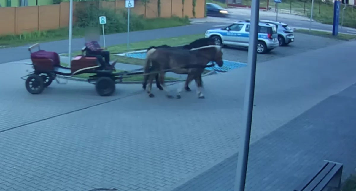 Pijany woźnica wjechał na teren komendy! 69-latek był już wcześniej notowany