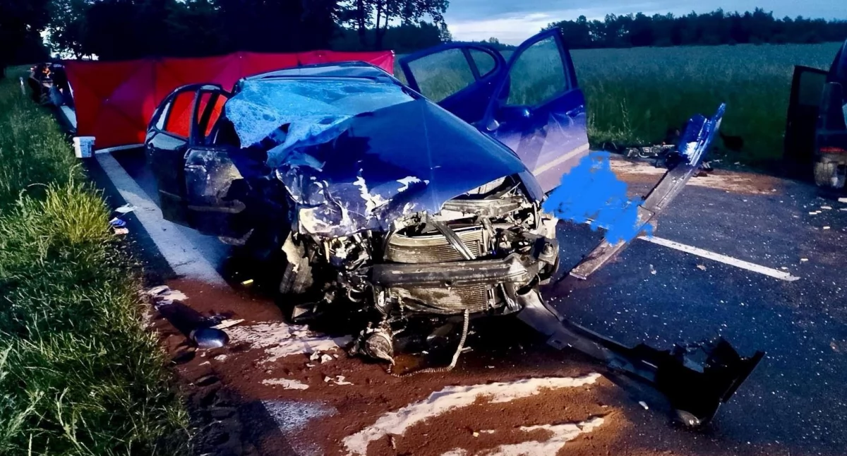 Śmiertelny wypadek w łódzkiem. Nie żyje 20-latka. W jednym z aut były małe dzieci