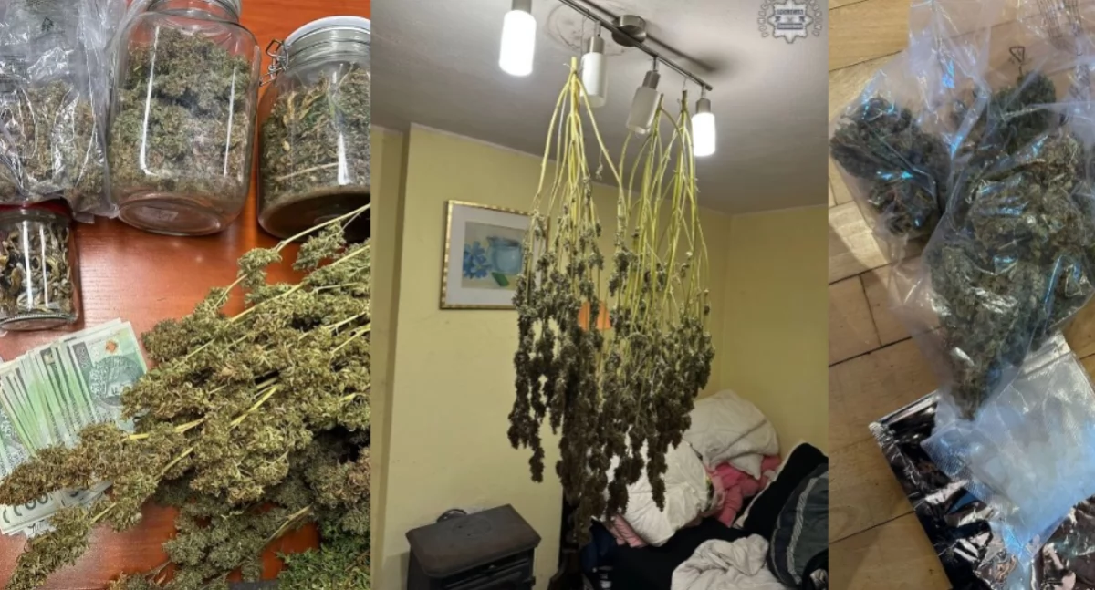 43-latek zatrzymany - miał ponad dwa kilogramy narkotyków