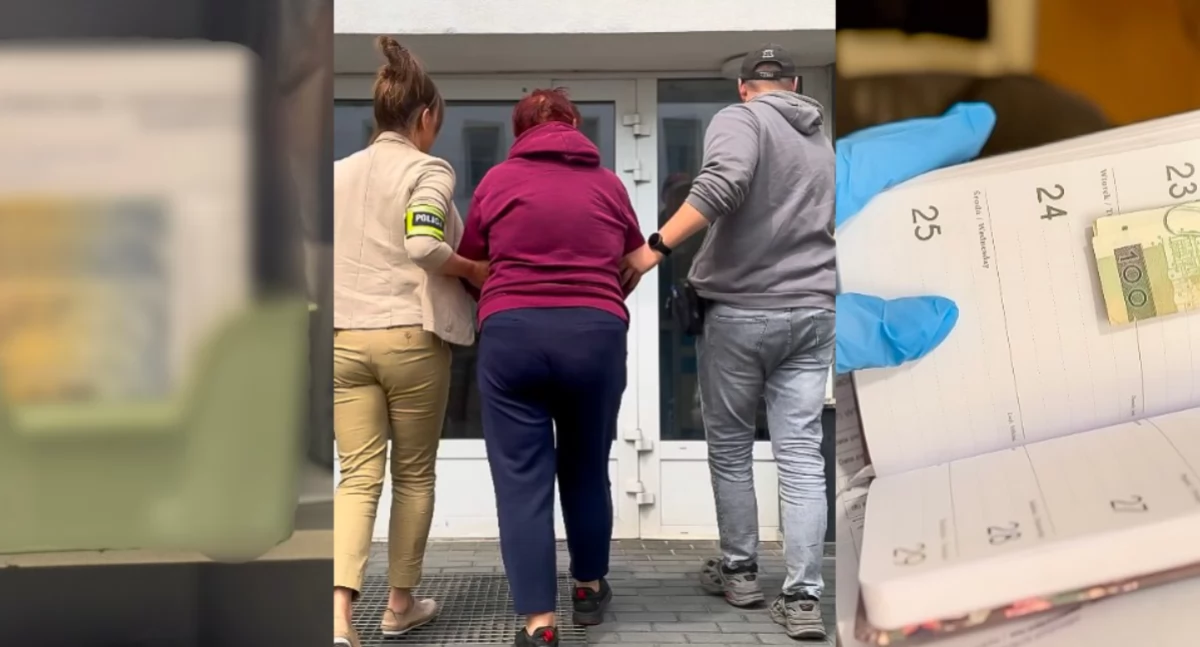 Niebezpieczny proceder korupcyjny - 70-latka za pieniądze podbijała dowody rejestracyjne bez badań technicznych